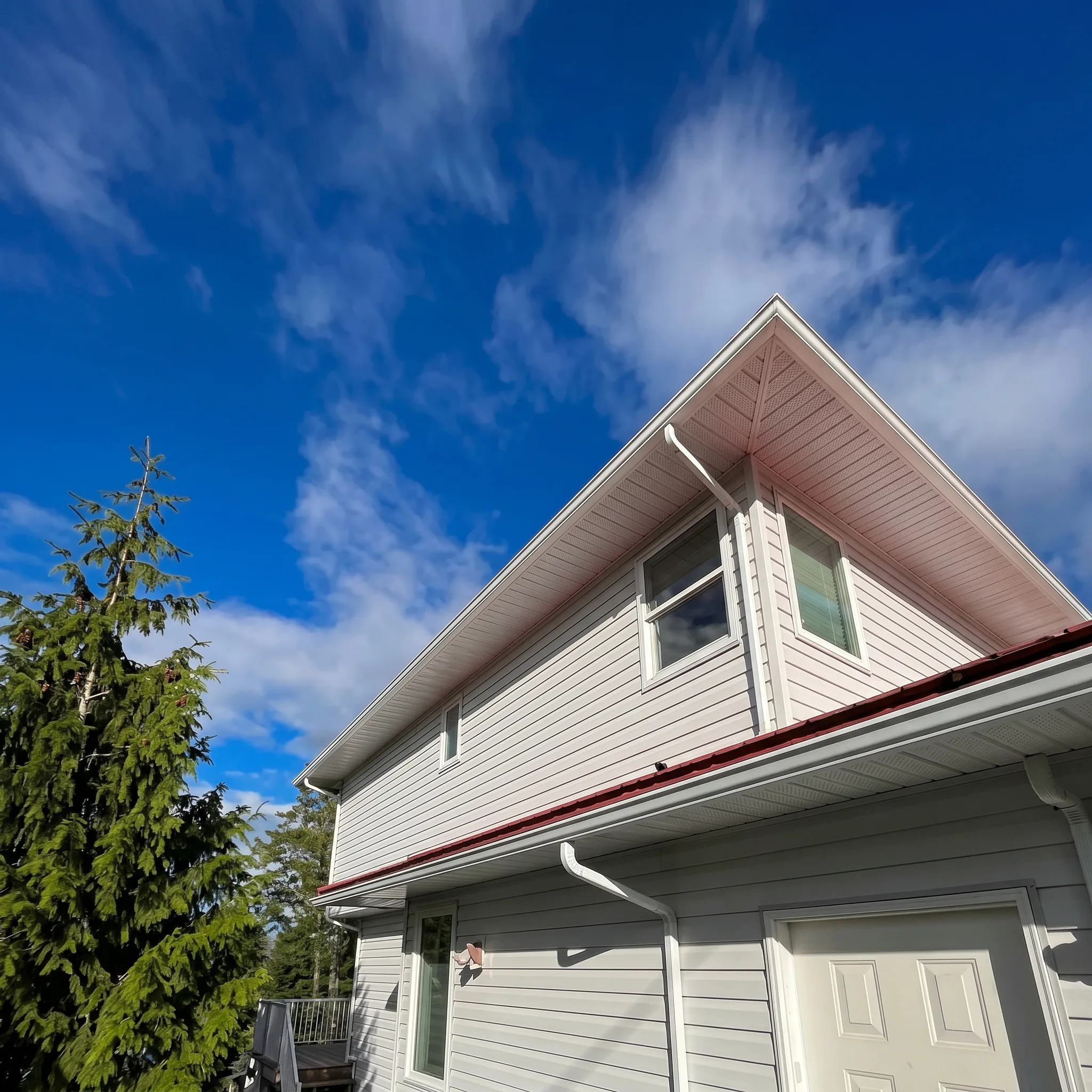 Restored roofline after professional washing